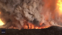 Helicopter Footage Shows Huge Bushfire in Victoria Tourist Region