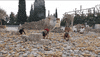 The Amazing Race Greece GIF by CBS