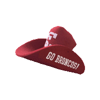 Santa Clara University Gobroncos Sticker by Santa Clara Broncos