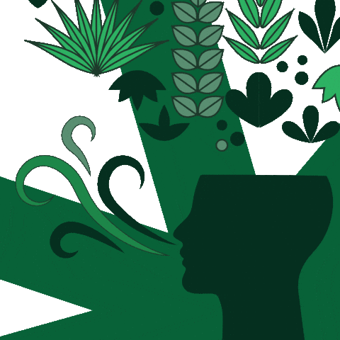 Activism Rays Sticker by RAINFOREST YOUTH SUMMIT