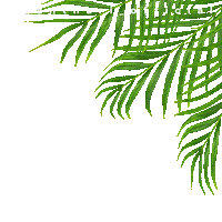 Good Morning Flower Sticker by Ranthari Hotel & SPA