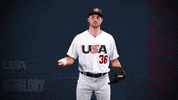 Pro GIF by USA Baseball
