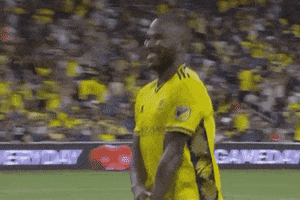 Celebrate Nashville Sc GIF by Major League Soccer
