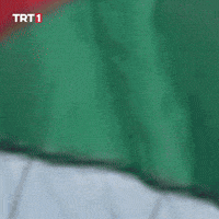 Flag Help GIF by TRT