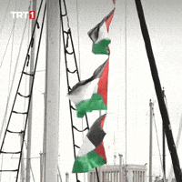 Flag Help GIF by TRT