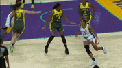 Los Angeles Sparks GIF by The Official Page of the Los Angeles Sparks