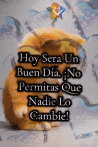Feliz Amigos GIF by Murcianys LLC