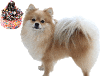 Mans Best Friend Dog Sticker by Doughees by mdoughw