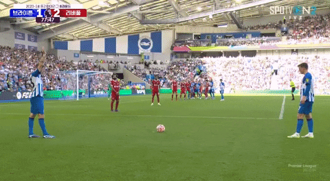 Davi4ever giphyupload GIF