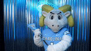 University Of North Carolina GIF by UNC Tar Heels