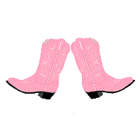 Houston Texans Dance Sticker