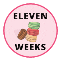 Pregnancy Baby Size Sticker by Bump Boxes