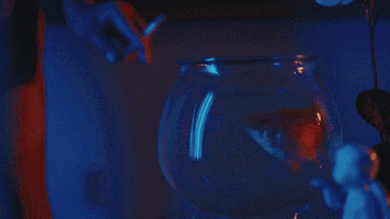 errors GIF by K.I.D