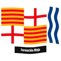 Flag Barcelona Sticker by Formación Ninja