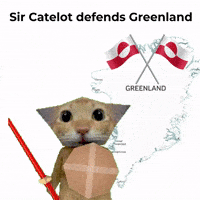 Davinjho sword funny cat shield cat meme GIF