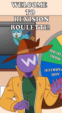 Tv Host Wonder GIF