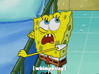 season 4 GIF by SpongeBob SquarePants