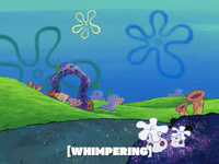 season 5 the two faces of squidward GIF by SpongeBob SquarePants