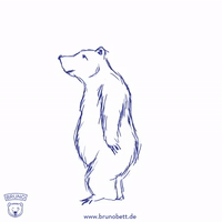 GIF by Bruno