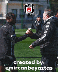 Beşiktaş GIF