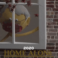 Home Alone Mask GIF