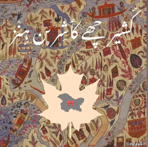 Kashmir Azad GIF