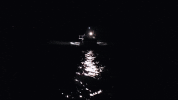 This Shark Is Truly A Mystery