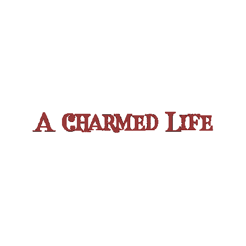 ACharmedLife fashion brand indian fashion brand Sticker