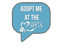 Sspca Sticker by Sacramento SPCA