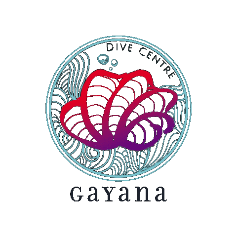gayanadivecentre giphygifmaker Sticker