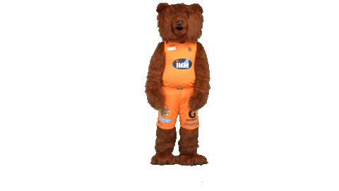 Sport Bear Sticker by Basket_fi