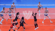 Happy Lets Go GIF by Volleyball World