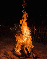 Sao Joao Puromalte GIF by Bohemia Puro Malte