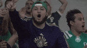 allianz parque canta e vibra GIF by SE Palmeiras