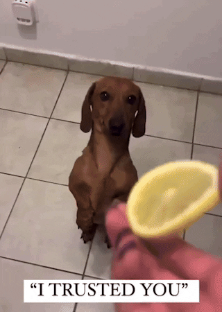 GIF by Martin