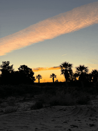 craigspiesman giphygifmaker giphyattribution GIF