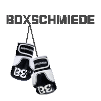 Sport Boxing Gloves Sticker by boxschmiede