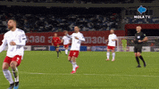 Happy Fun GIF by MolaTV