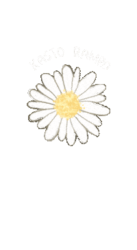 Daisy Nepal Sticker