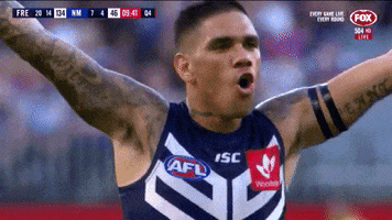 Ric Flair GIF by AFL