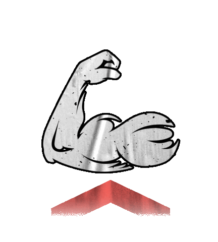 TEAMFREEATHLETE giphyupload bro gains gainz Sticker