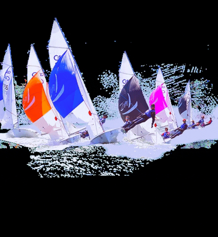 zimsailing giphygifmaker 420 sailing zim GIF