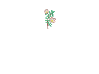 Flower Sticker