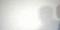 Drag Racing Pro Stock GIF by NHRA