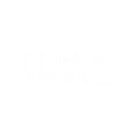 tropical-animals tropical tropical animals tropical firenze Sticker