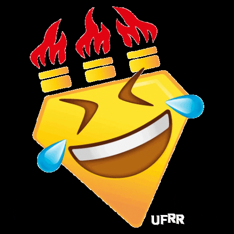 UFRR giphygifmaker ufrr GIF
