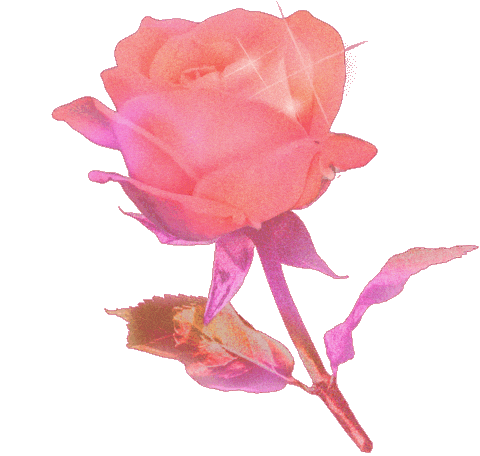 Pink Blooming Sticker by Anne Lee