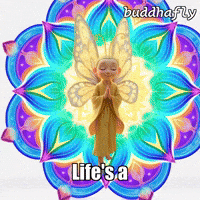 Dance Love GIF by BuddhaFlyJourney