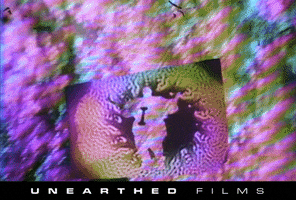 Vincent Price Television GIF by Unearthed Films