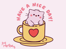 Good Morning Cat GIF by Pembe